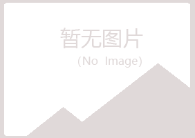 文山县听白水泥有限公司